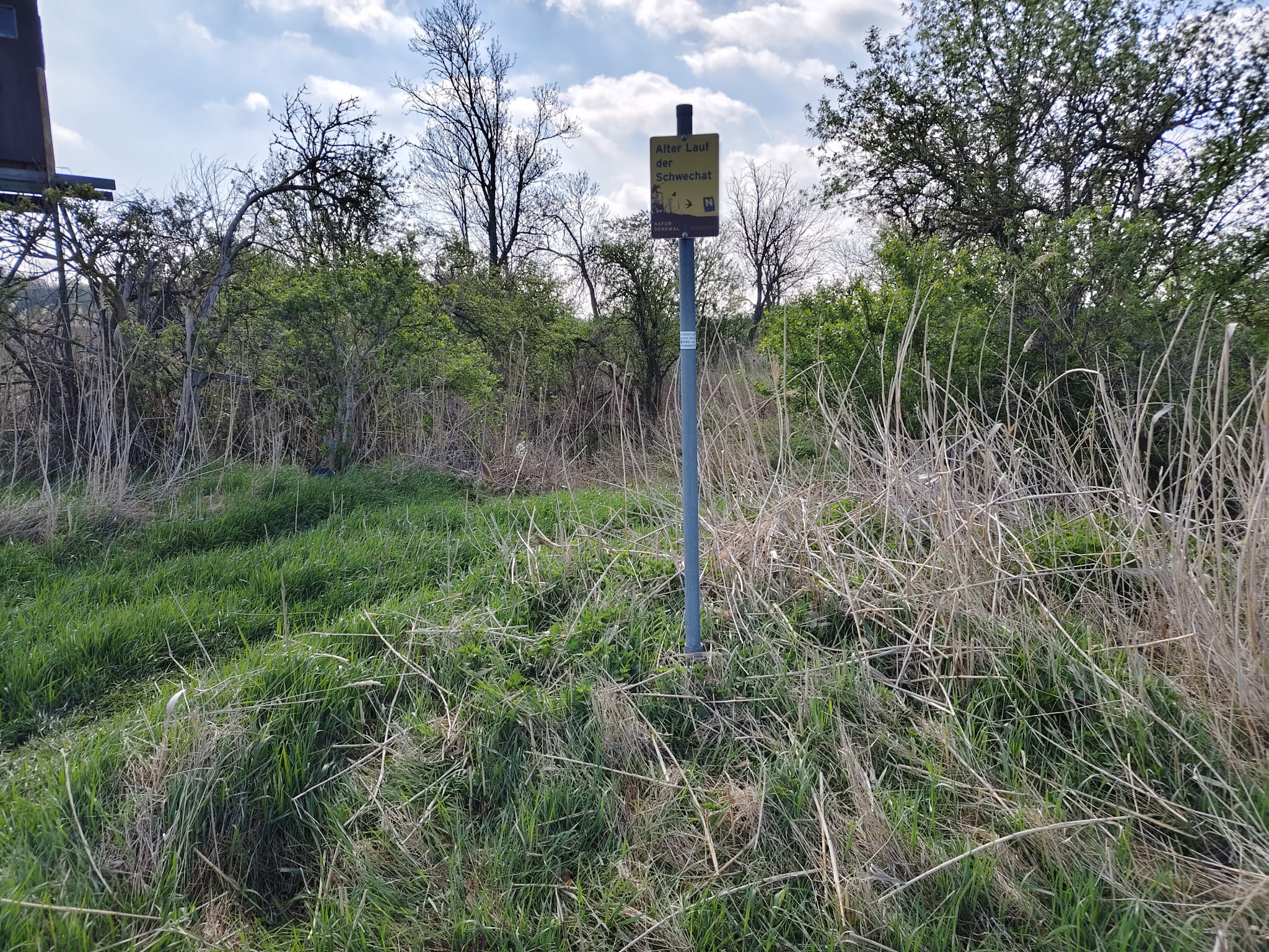 Aktion sauberes Laxenburg 2026 04 21 12 8dd9e