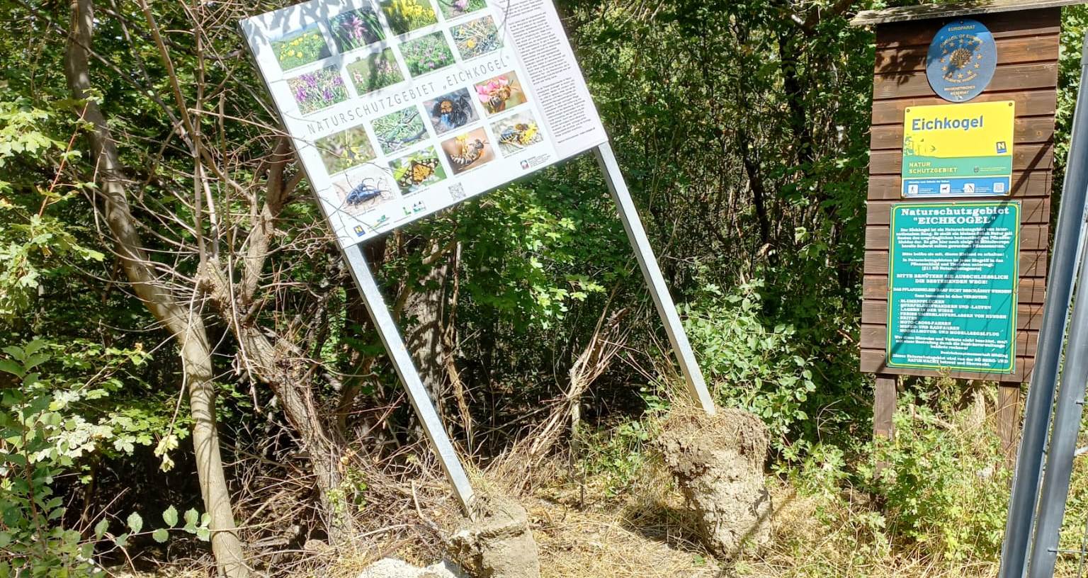 Eichkogel Rohrbruch Stand 2026 09 02 3 eabef9d36a1007c9