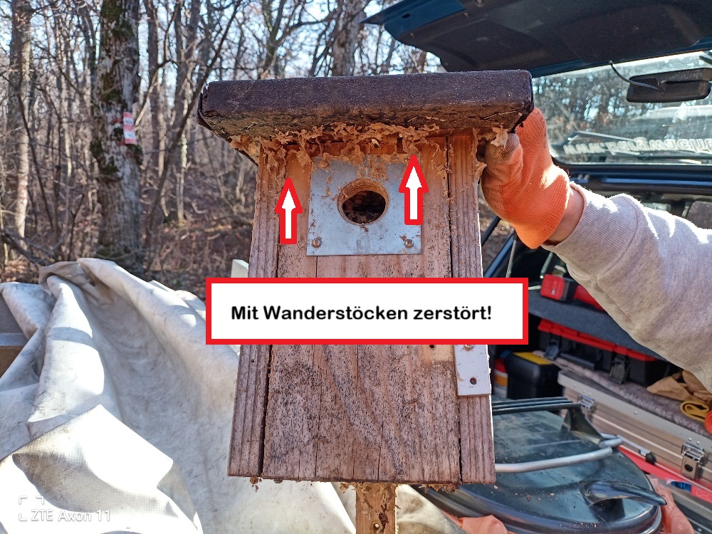 Futtersilos Standortwechsel und Nistkästen abnehmen 30.12.2024 11 HP 37388