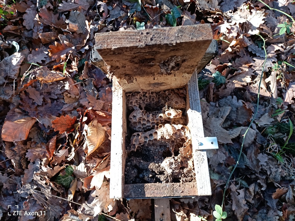 Futtersilos Standortwechsel und Nistkästen abnehmen 30.12.2024 12 36106