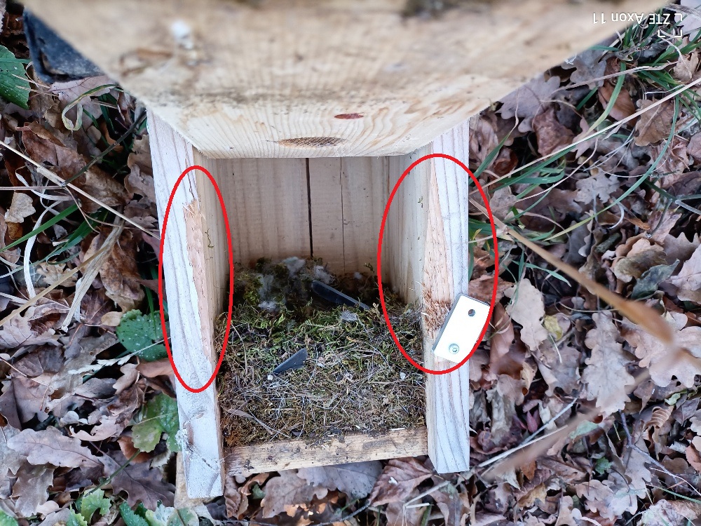 Futtersilos Standortwechsel und Nistkästen abnehmen 30.12.2024 7 HP 5dd60