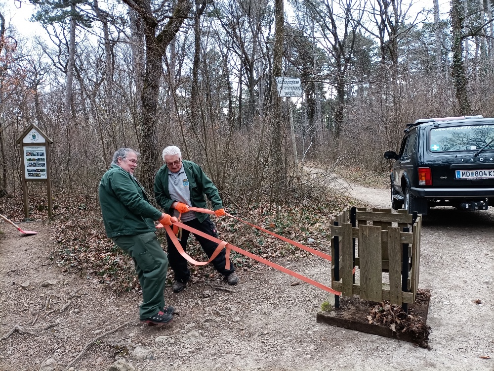 IMG 20230313 095547 resized 61e9f