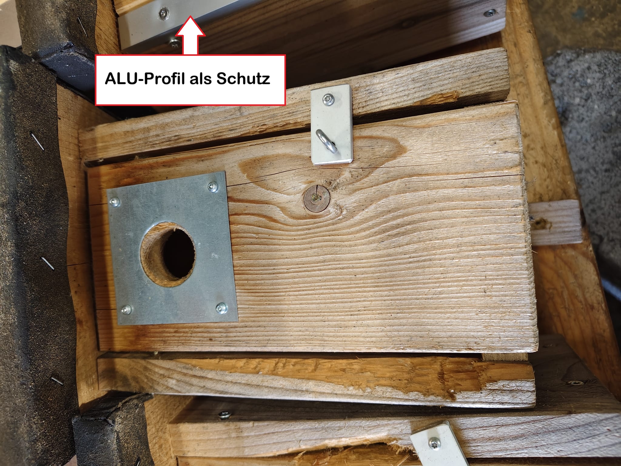 Nistkasteneinsatz 2025 11 10 15 HP 5f1e8