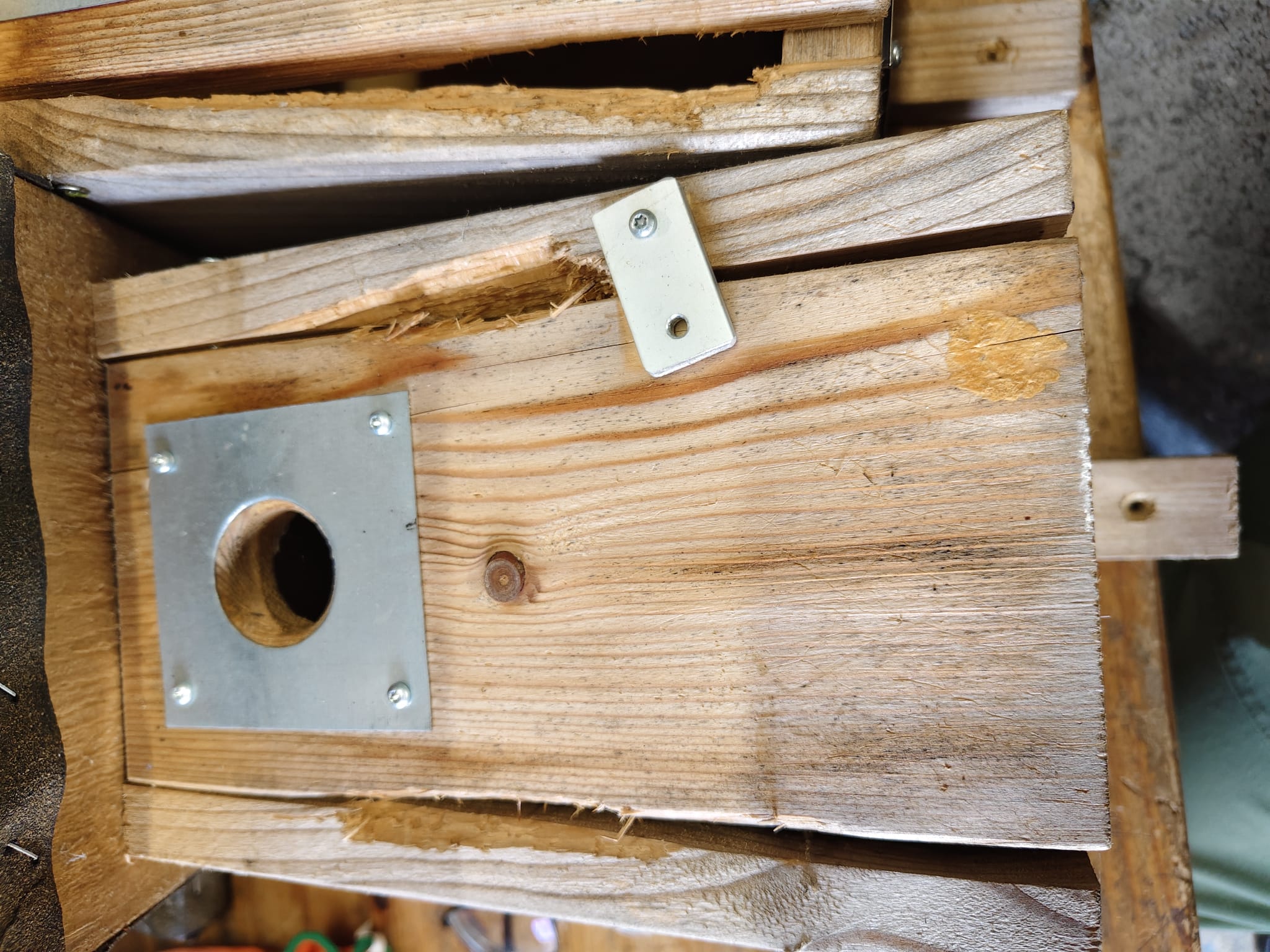 Nistkasteneinsatz 2025 11 10 16 fca7a