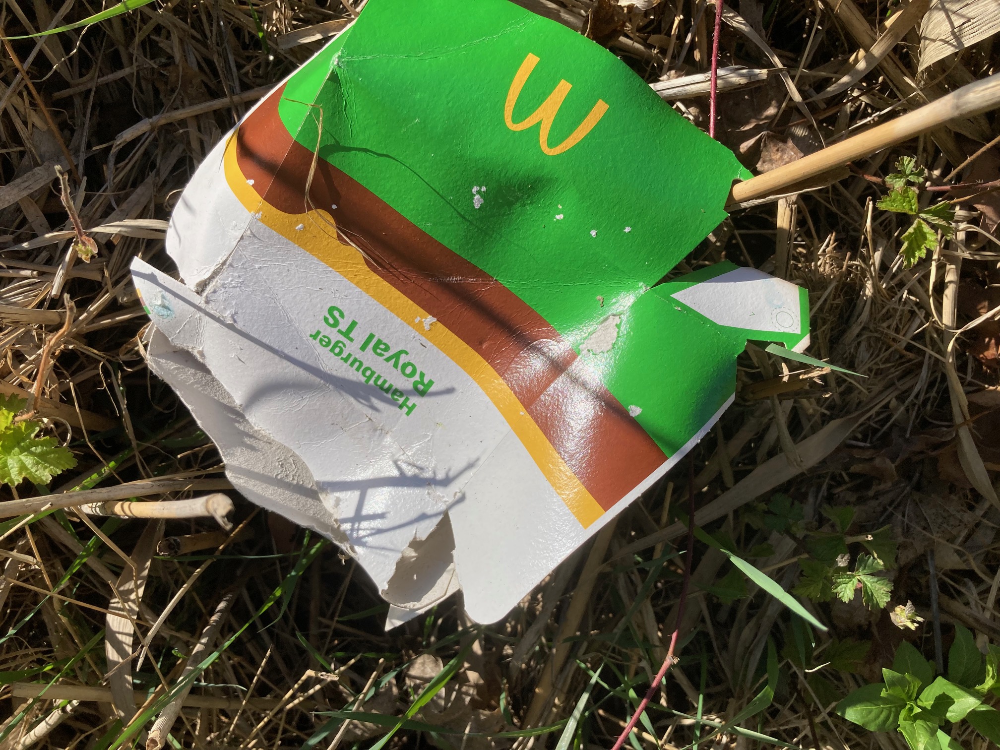 Sauberes Biedermannsdorf 2023 4 5c5dd