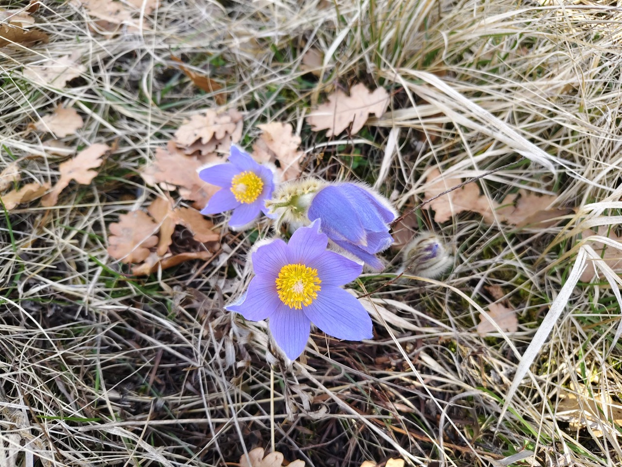 VOFÜ 2026 03 11 6 d9b9f