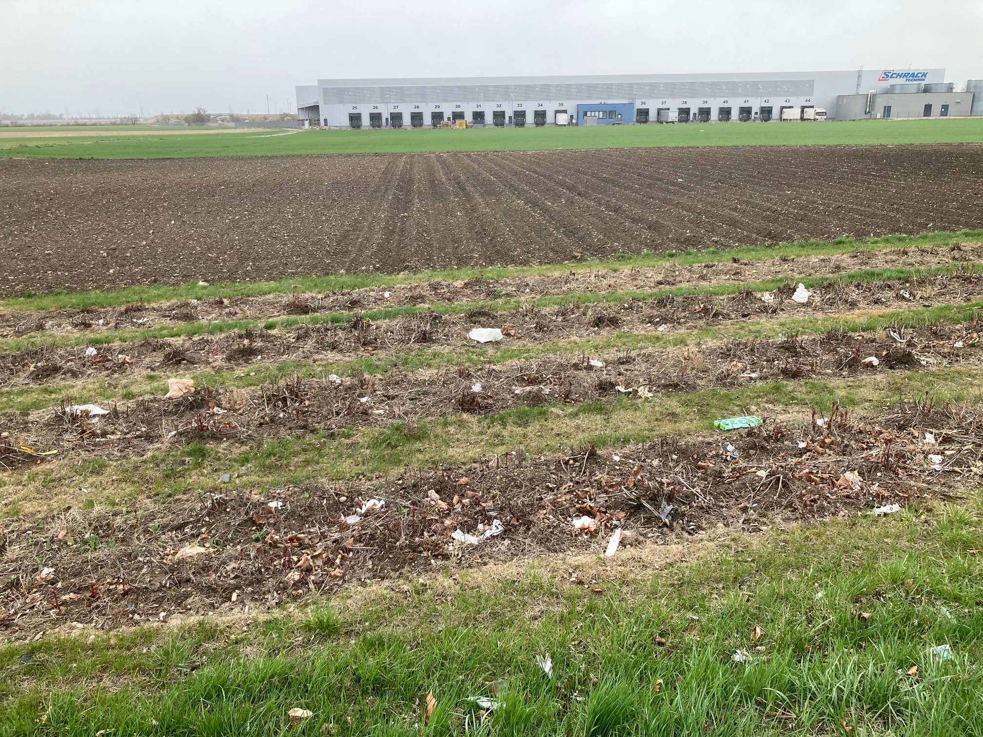 Verunreinigung durch BILLa 2362 2026 03 27 4 651f7